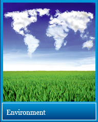 Environment